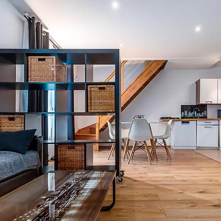 Paris Cdg : Duplex - 3 Bedrooms 公寓